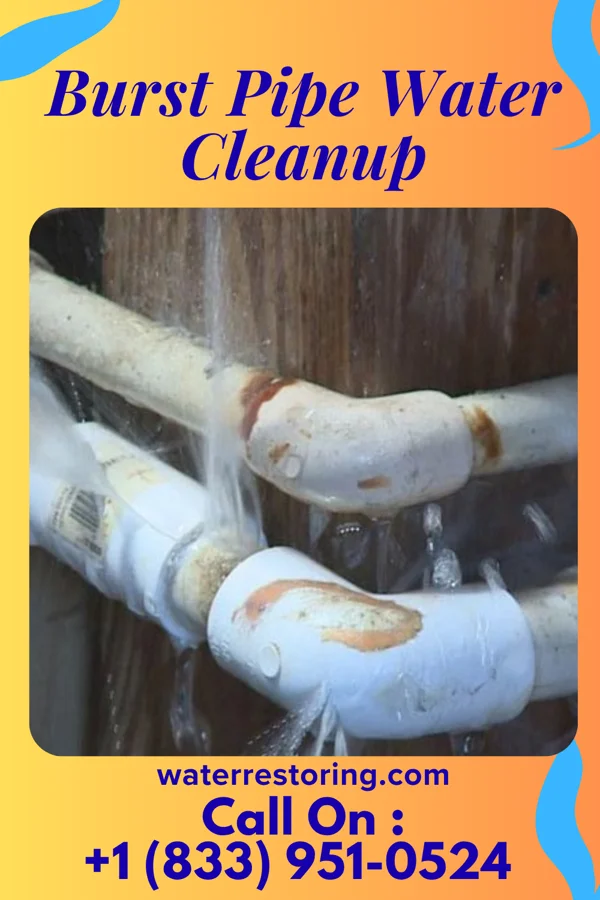 Burst Pipe Water Cleanup in Orrville, AL